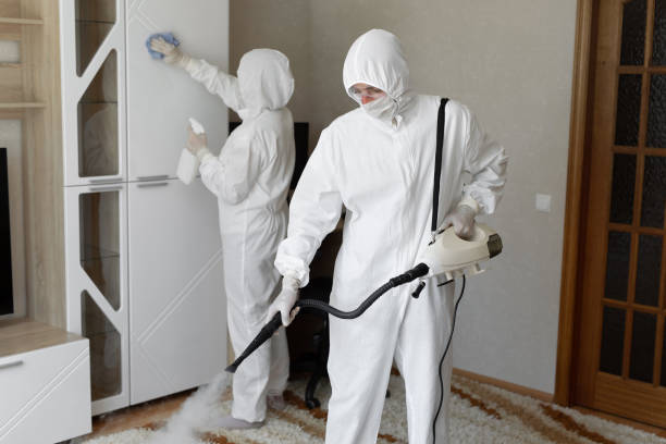 24/7 Emergency Odor Removal experts in Saddle Brook, NJ