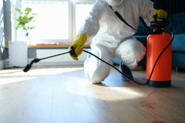 Reliable Odor Removal contractor in Saddle Brook, NJ by Trauma Clean Pros